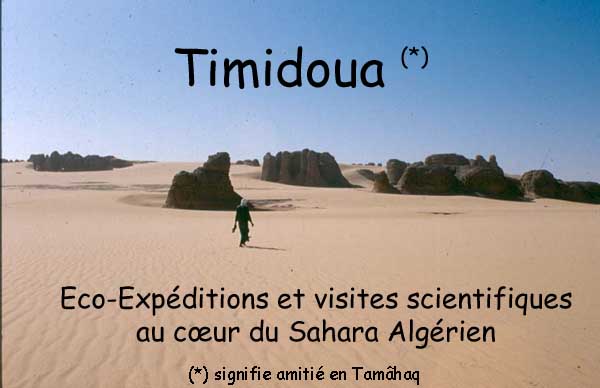 Timidoua. com :expeditions scientifique au coeur du Sahara Algrien